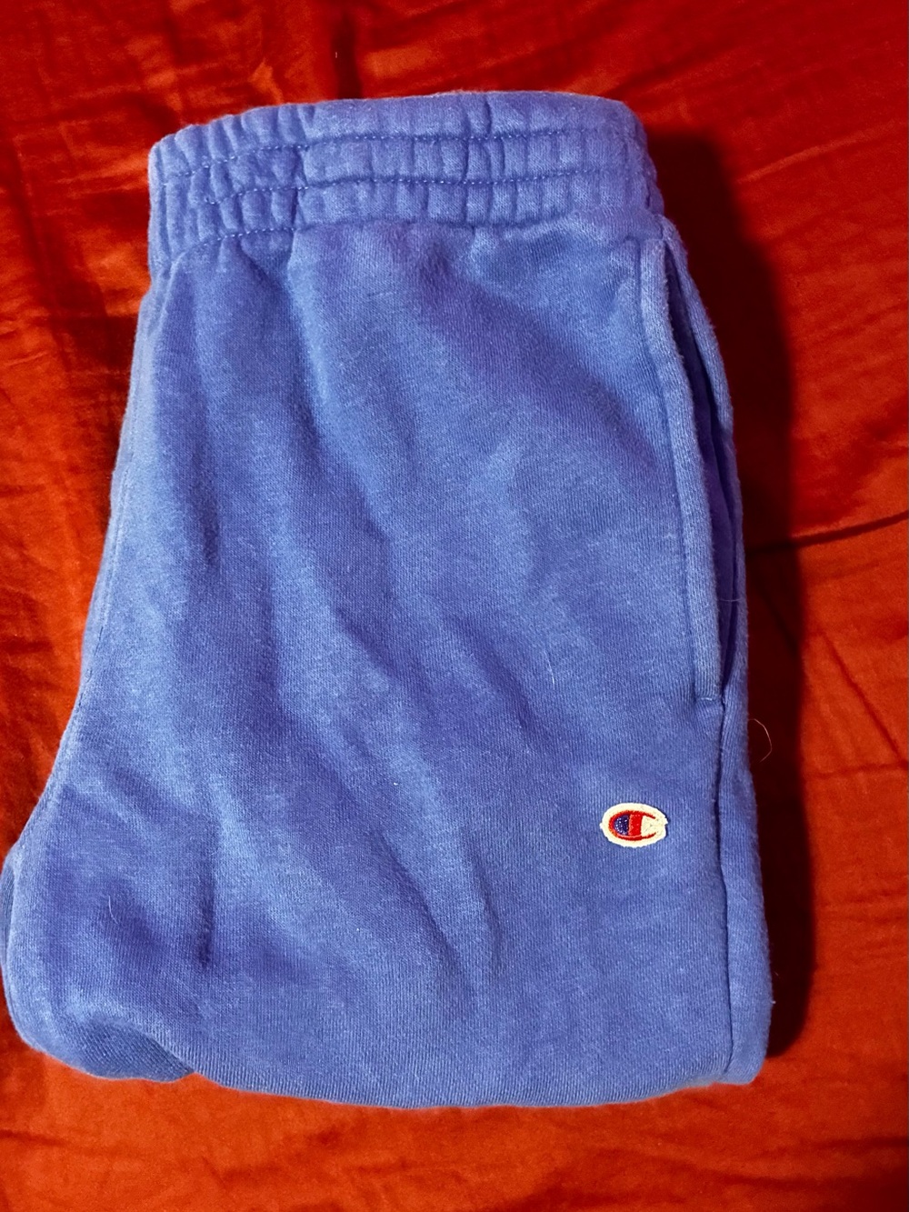 Champion Kids blue Fleece Sweatpants - Soft Active Bottoms
